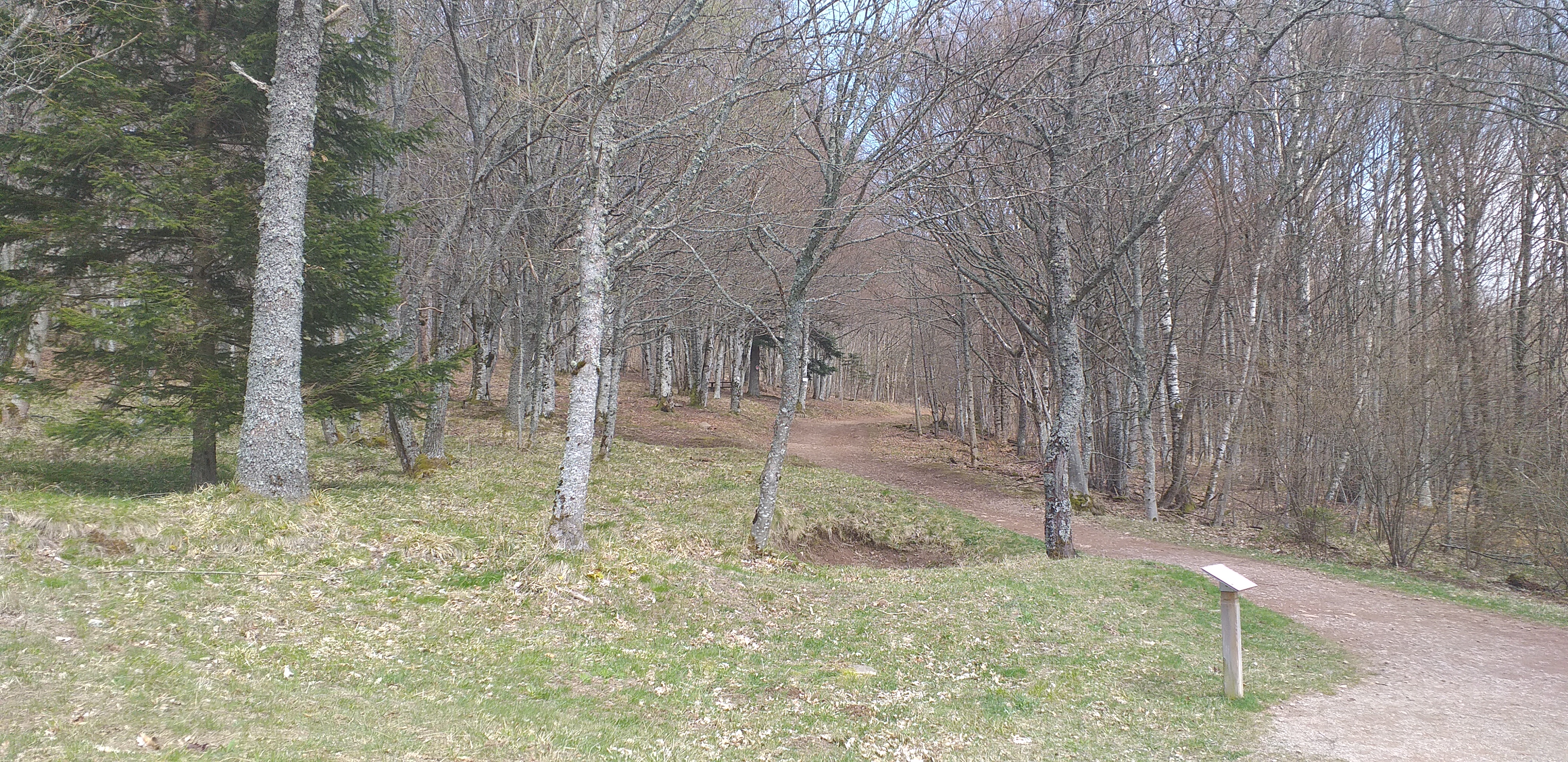 Photo n° 44 de l'avis de Stéphanie.e fait le 15/04/2019 à 14:42