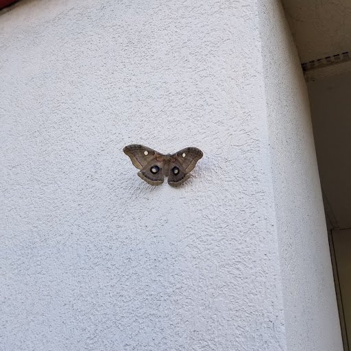 Office Supply Store «Staples», reviews and photos, 1145 N Colony Rd, Wallingford, CT 06492, USA