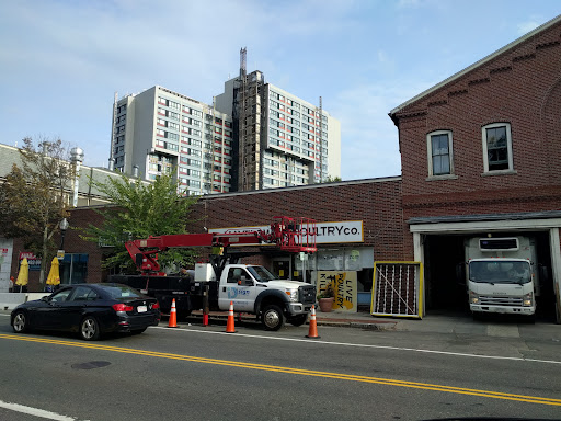 Butcher Shop «Mayflower Poultry Co», reviews and photos, 621 Cambridge St, Cambridge, MA 02141, USA