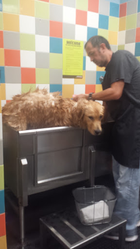 Pet Supply Store «Petco Animal Supplies», reviews and photos, 61-23 190th St, Fresh Meadows, NY 11365, USA