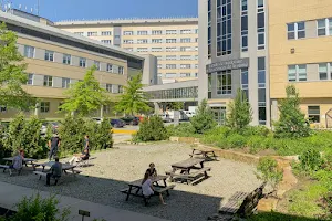 University of Sherbrooke - Health Campus image