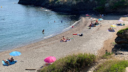 Photo de Cala Calitjas zone sauvage