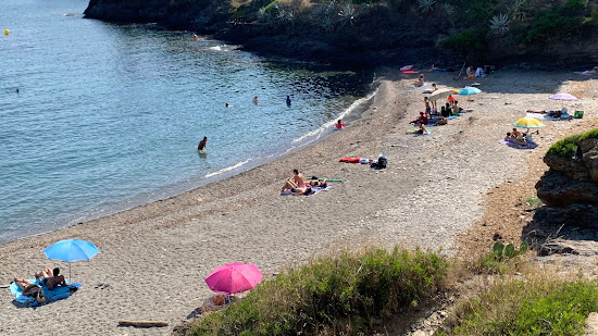 Cala Calitjas