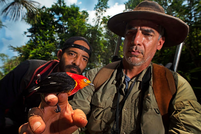 Bosques Amazónicos BAM - Asociación