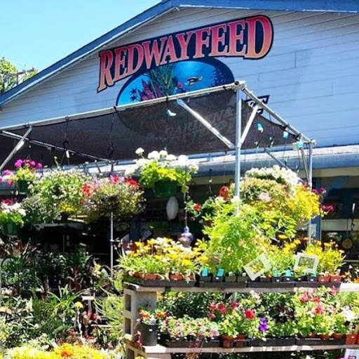 Redway Feed, Garden & Pet Supply, 290 Briceland Thorn Rd, Redway, CA 95560, USA, 