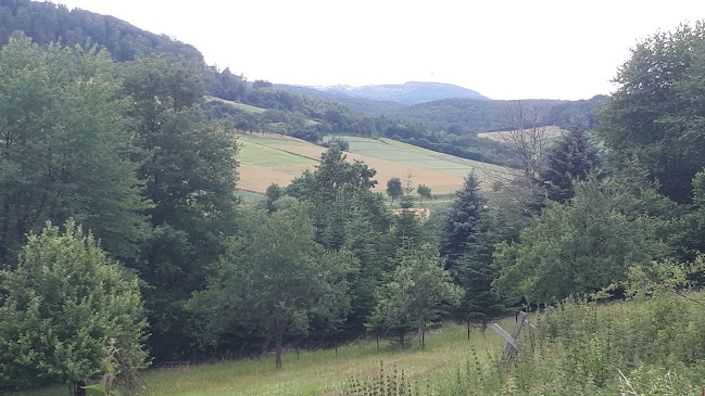 Weißenfeld 2, 37647 Polle, Duitsland