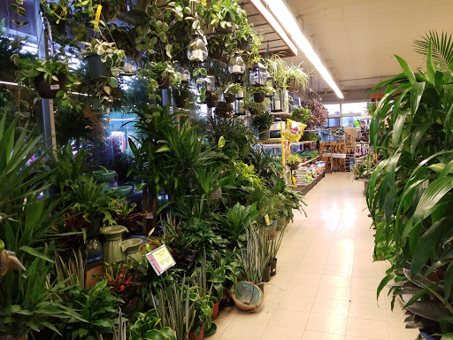 Plant stores Detroit