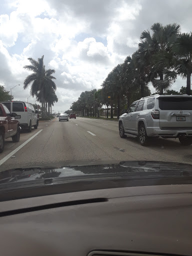 Car Dealer «Bird Road Subaru», reviews and photos, 7240 Bird Rd, Miami, FL 33155, USA