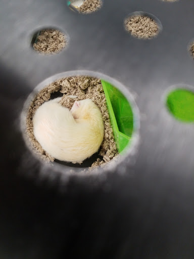 Pet Supply Store «Petco Animal Supplies», reviews and photos, 92 Cluff Crossing Rd, Salem, NH 03079, USA