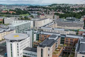 St. Olav's University Hospital image