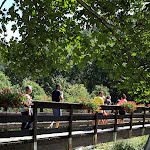 Photo n°3 de l'avis de Tania.' fait le 15/08/2020 à 21:02 sur le  Bar Ristorante La Spiaggia à Crissolo