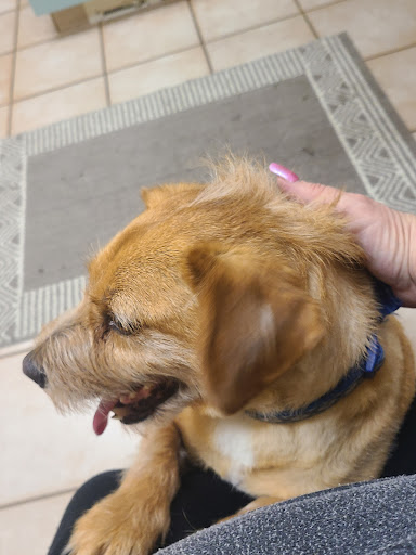 Halsey East Animal Clinic image