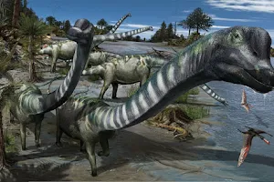 Dinosaur Museum image