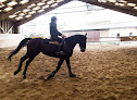 Centre Equestre El Rio Rignac