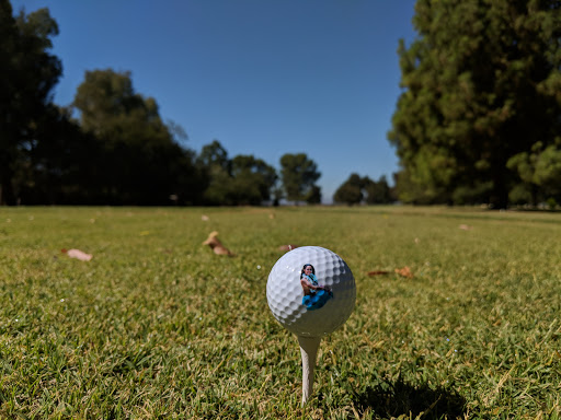 Golf Course «Davis Golf Course», reviews and photos, 24439 Fairway Dr, Davis, CA 95616, USA