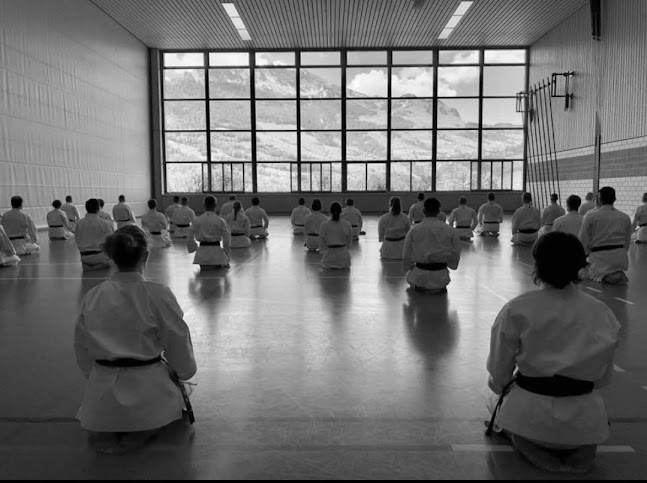 Rezensionen über Rinshinkan Karateschule in Zürich - Sportstätte