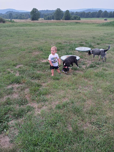 Reifsnider's Farm Supply