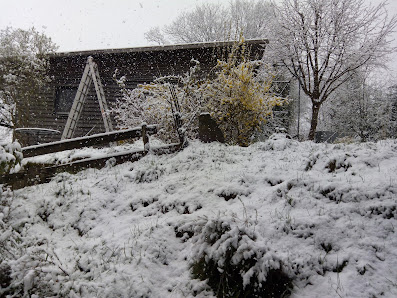 Ferienhaus Oekologia Rückersrieth 6, 92709 Moosbach, Deutschland