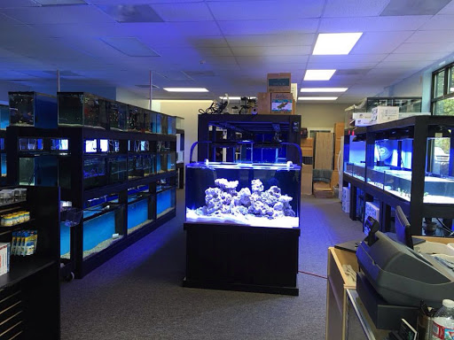 All Things Aquariums