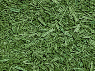 Horus Spiruline à Abbaretz