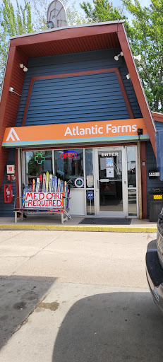 Gasolinera Gasolinera gas station