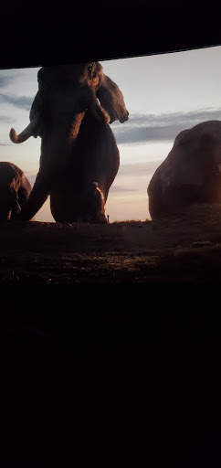 Movie Theater «Epic Theatres of St. Augustine», reviews and photos, 112 Theatre Dr, St Augustine, FL 32086, USA