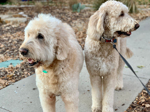 Dog Day Care Center «K9 Behavior UT, LLC», reviews and photos, 1458 Main St, Salt Lake City, UT 84115, USA