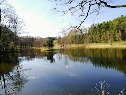 Lesní rybník na Radíkovském potoce.