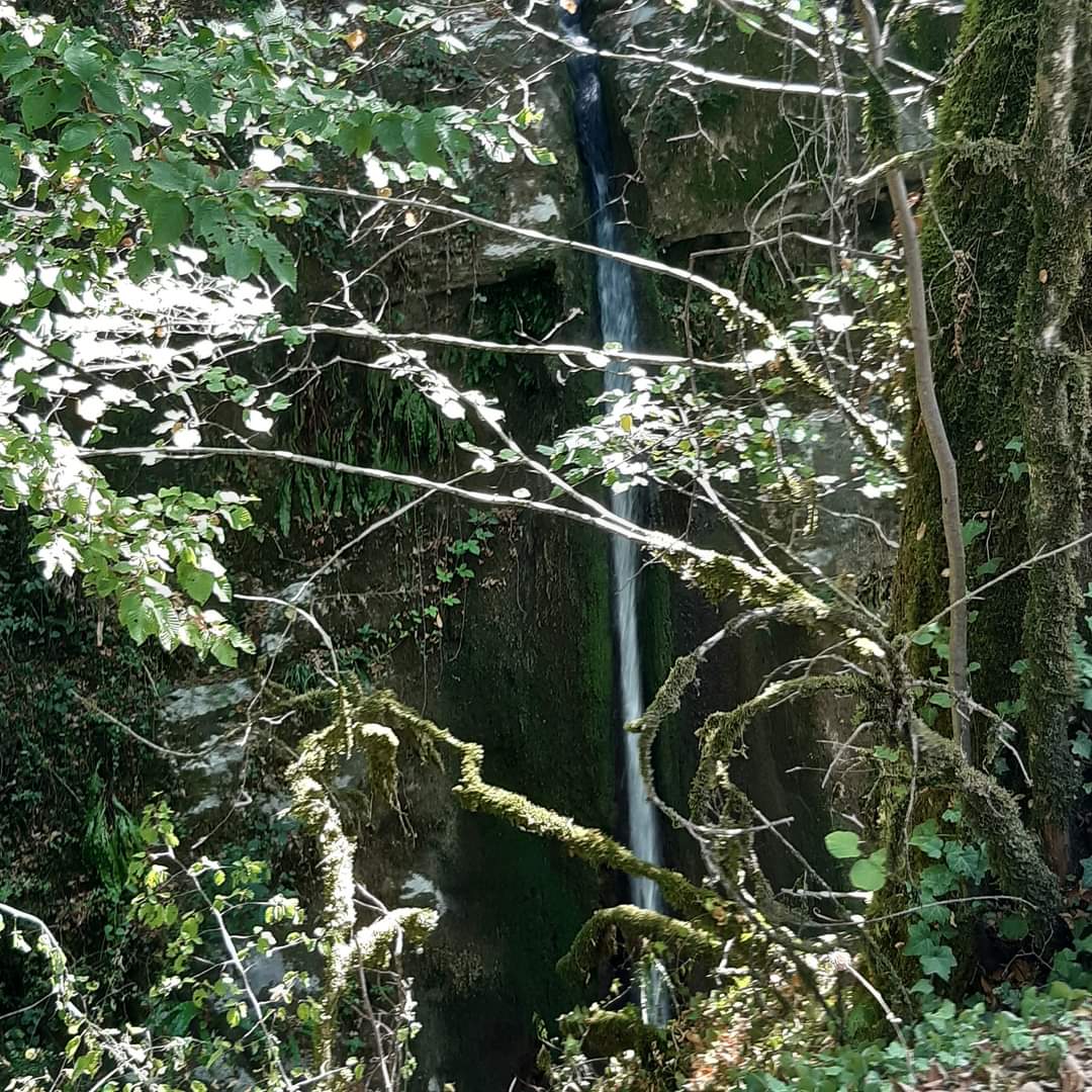 Photo n° 22 de l'avis de Anne.i fait le 13/08/2022 à 16:33