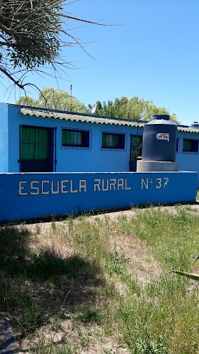 Escuela Rural 37