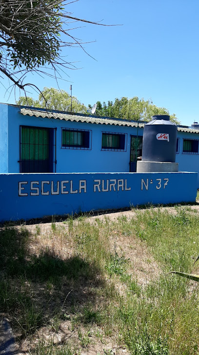 Escuela Rural 37