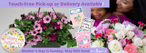 Florist «1-800-Flowers | Flowerama Windsor Heights», reviews and photos, 7301 University Ave, Windsor Heights, IA 50324, USA