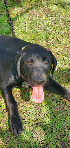 20 Park Pl W, Shippensburg, PA 17257, USA