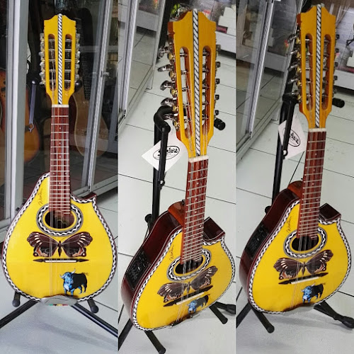 Guitarras Warthon - Tienda de instrumentos musicales