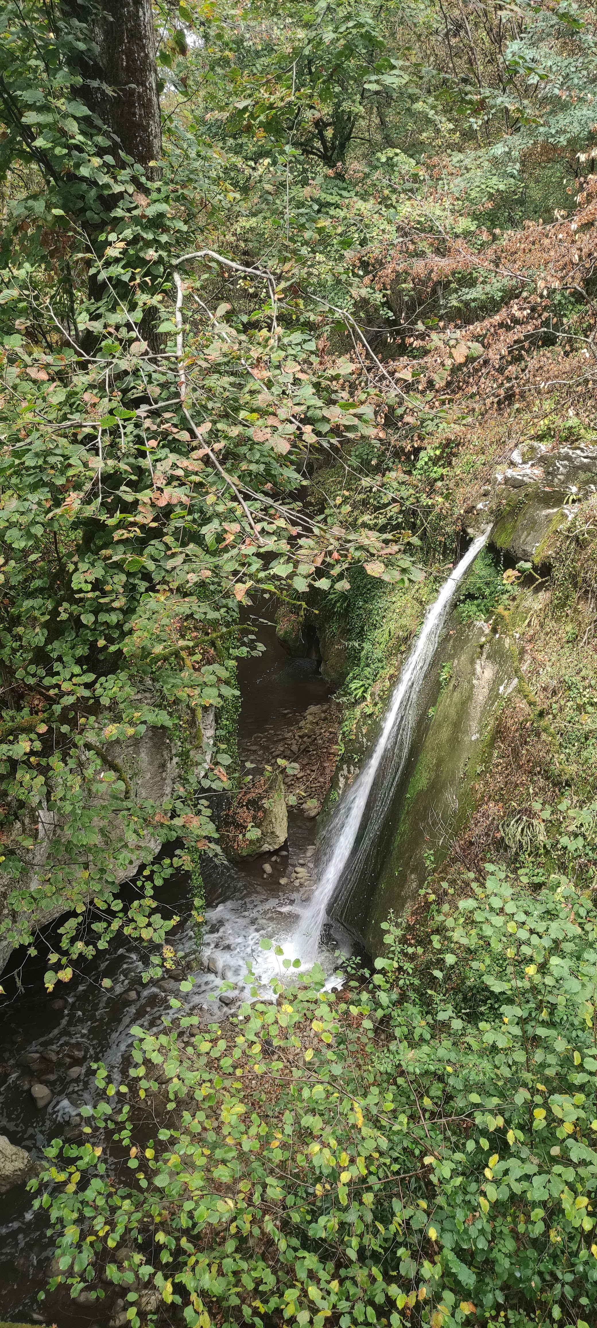 Photo n° 1 de l'avis de Eric.a fait le 26/08/2023 à 16:48