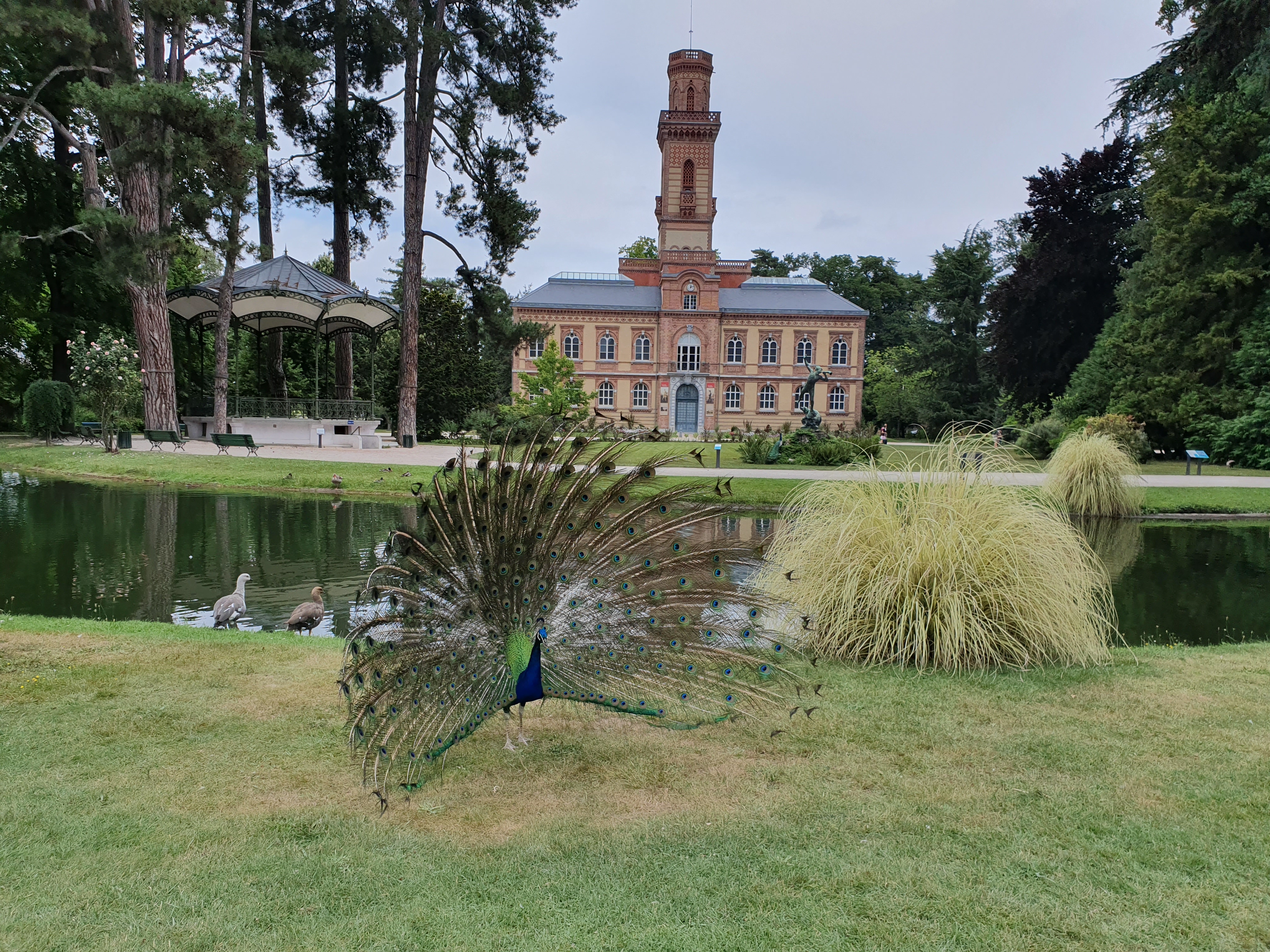 Photo n° 2 de l'avis de Christine.A fait le 20/07/2019 à 09:27