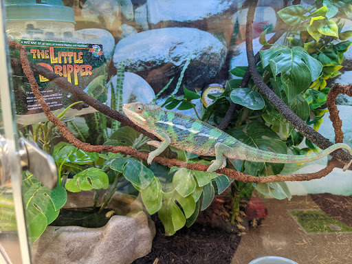 Pet Supply Store «Petco Animal Supplies», reviews and photos, 244 Pioneer Trail, Chaska, MN 55318, USA