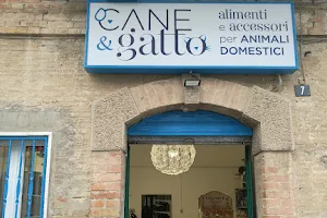 Cane&Gatto image