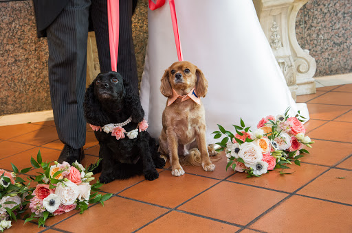 Florist «A & L Floral Design», reviews and photos, 10720 Miller Rd #200, Dallas, TX 75238, USA