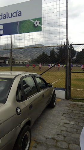 Comentarios y opiniones de Liga Barrial "Quito Sur"