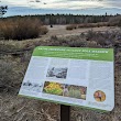 Camp Polk Meadow Preserve