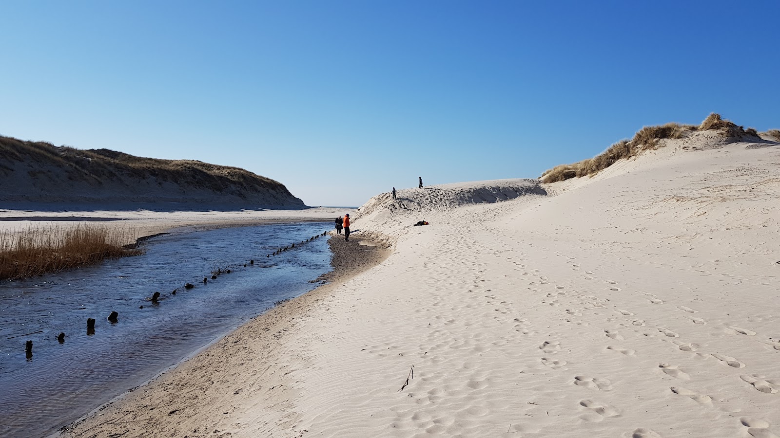 Foto av Henne Strand - populär plats bland avkopplingskännare