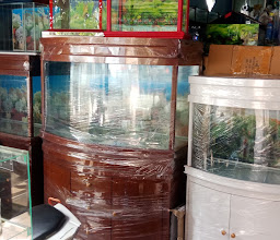 Permata Aquarium photo