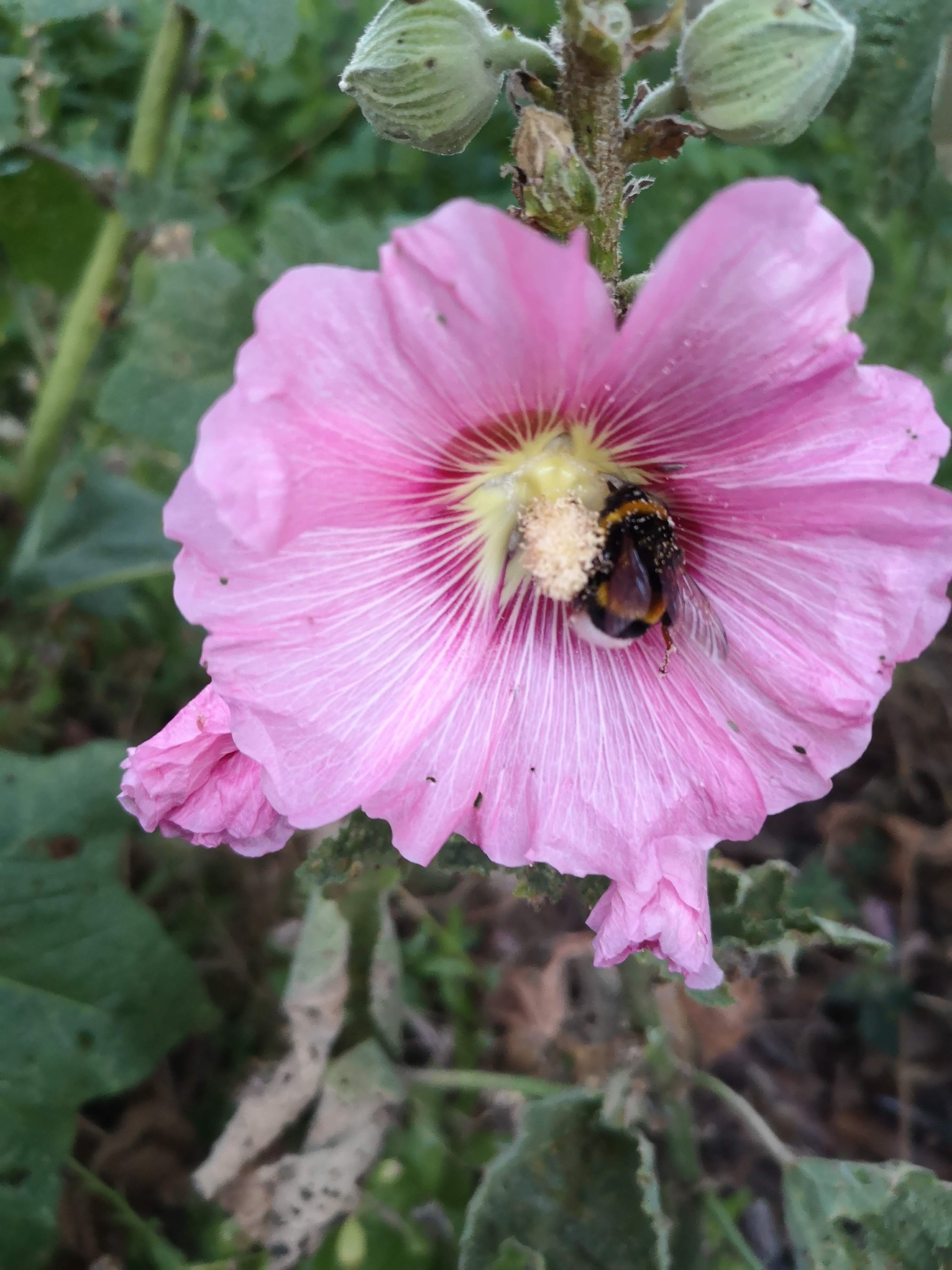 Photo n° 3 de l'avis de Emmanuelle.o fait le 17/07/2019 à 14:23