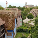 Photo n° 3 de l'avis de Rose.s fait le 31/05/2023 à 05:41 pour Écomusée d'Alsace à Ungersheim