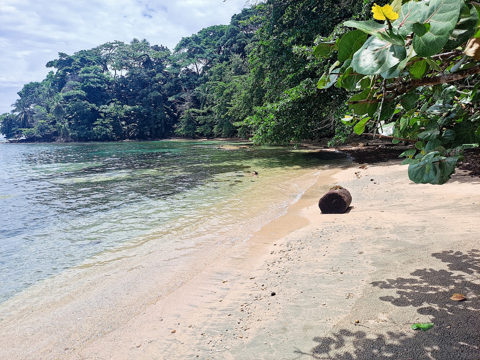 Foto di Punta de Vista beach con una superficie del acqua cristallina