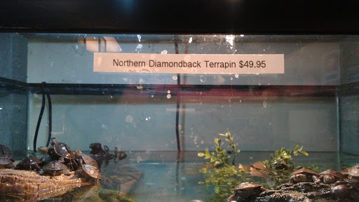 Pet Store «Exotic Pets», reviews and photos, 2410 N Decatur Blvd #160, Las Vegas, NV 89108, USA