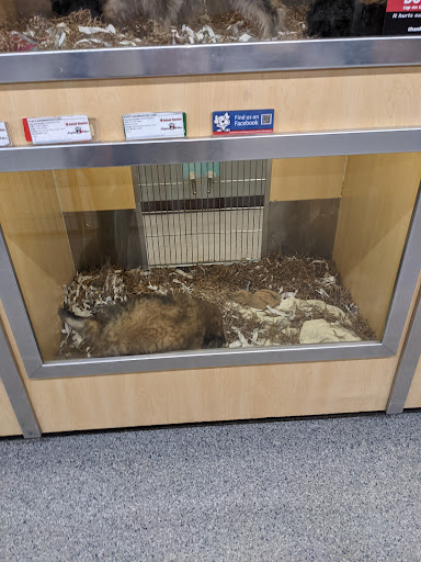 Pet Store «Animal Kingdom», reviews and photos, 5000 S Arizona Mills Cir, Tempe, AZ 85282, USA