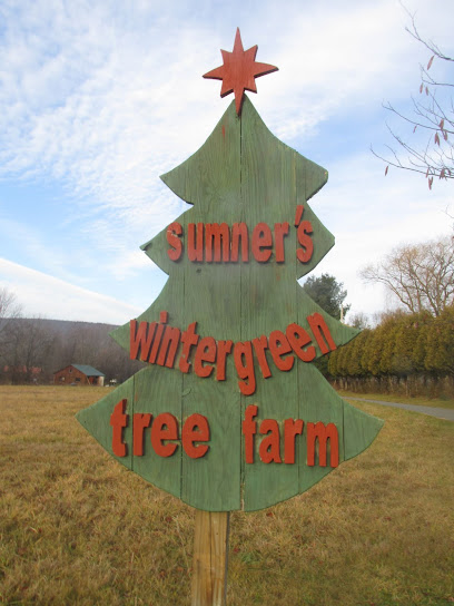 Sumner's Wintergreen Tree Farm