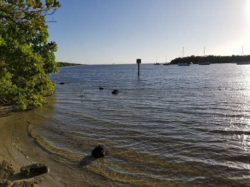 Gandy Beach Mangroves